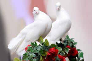 Ślub w stylu romantycznym – czego wymaga?