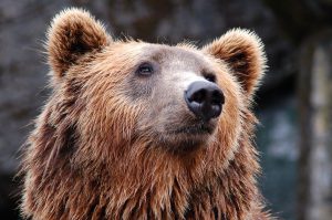 ZOO we Wrocławiu miejscem, którego nie można nie zobaczyć